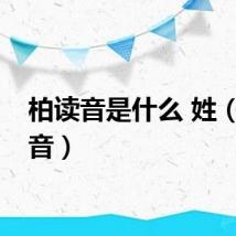 柏读音是什么 姓（柏读音）