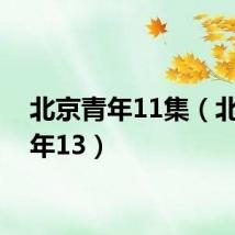 北京青年11集(北京青年13)