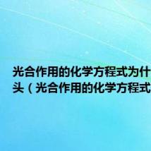 光合作用的化学方程式为什么用箭头(光合作用的化学方程式)