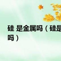 硅 是金属吗（硅是金属吗）
