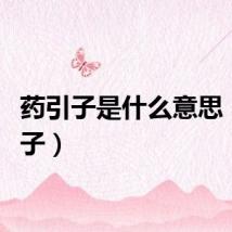 药引子是什么意思（药引子）