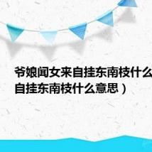 爷娘闻女来自挂东南枝什么意思（自挂东南枝什么意思）