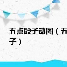五点骰子动图（五点骰子）