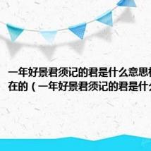 一年好景君须记的君是什么意思相当于现在的(一年好景君须记的君是什么意思)