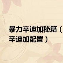 暴力辛迪加秘籍（暴力辛迪加配置）