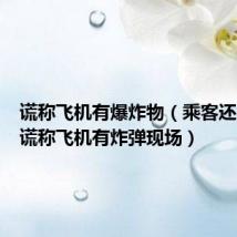 谎称飞机有爆炸物（乘客还原男子谎称飞机有炸弹现场）