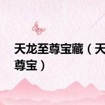 天龙至尊宝藏（天龙至尊宝）