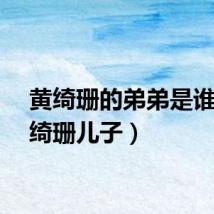 黄绮珊的弟弟是谁（黄绮珊儿子）