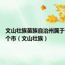 文山壮族苗族自治州属于云南哪个市(文山壮族)