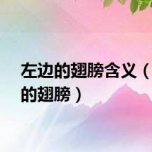 左边的翅膀含义（左边的翅膀）