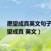 愿望成真英文句子（愿望成真 英文）