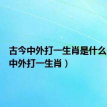 古今中外打一生肖是什么（古今中外打一生肖）