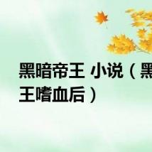 黑暗帝王 小说（黑暗帝王嗜血后）