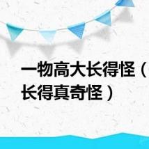 一物高大长得怪（一物长得真奇怪）