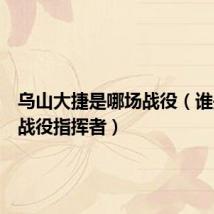乌山大捷是哪场战役(谁是乌山战役指挥者)