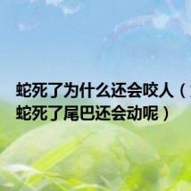 蛇死了为什么还会咬人（为什么蛇死了尾巴还会动呢）