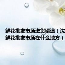 鲜花批发市场进货渠道（沈阳最大鲜花批发市场在什么地方）