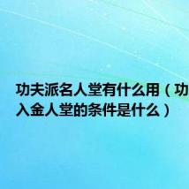 功夫派名人堂有什么用(功夫派进入金人堂的条件是什么)