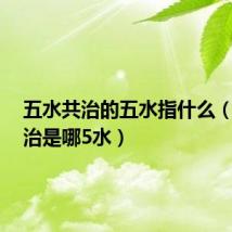 五水共治的五水指什么(5水共治是哪5水)