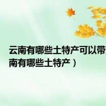 云南有哪些土特产可以带走（云南有哪些土特产）