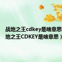 战地之王cdkey是啥意思呀(战地之王CDKEY是啥意思)