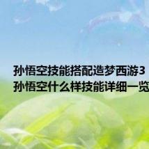 孙悟空技能搭配造梦西游3(dota孙悟空什么样技能详细一览)