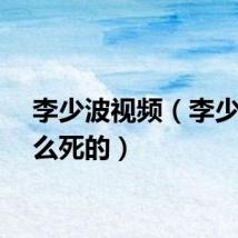 李少波视频（李少波怎么死的）