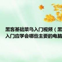 黑客基础菜鸟入门视频(黑客菜鸟入门应学会哪些主要的电脑知识)