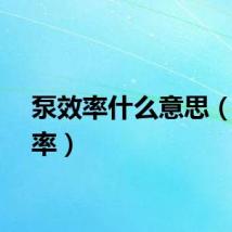 泵效率什么意思（泵效率）