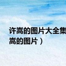 许嵩的图片大全集(许嵩的图片)