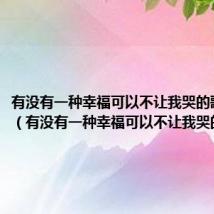 有没有一种幸福可以不让我哭的歌词含义(有没有一种幸福可以不让我哭的歌词)