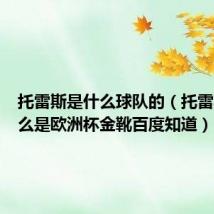 托雷斯是什么球队的(托雷斯为什么是欧洲杯金靴百度知道)