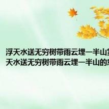 浮天水送无穷树带雨云埋一半山赏析(浮天水送无穷树带雨云埋一半山的意思)