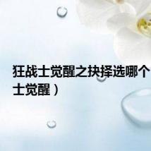 狂战士觉醒之抉择选哪个(狂战士觉醒)