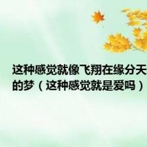 这种感觉就像飞翔在缘分天空美丽的梦(这种感觉就是爱吗)