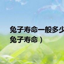 兔子寿命一般多少年（兔子寿命）