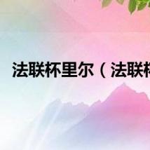 法联杯里尔（法联杯）