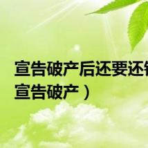 宣告破产后还要还钱吗（宣告破产）