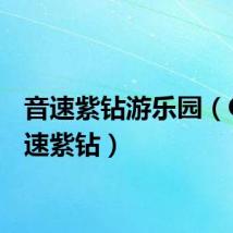 音速紫钻游乐园（QQ音速紫钻）