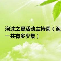 泡沫之夏活动主持词（泡沫之夏一共有多少集）