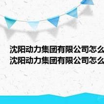 沈阳动力集团有限公司怎么样啊(沈阳动力集团有限公司怎么样)
