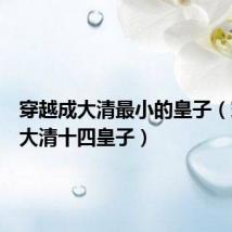 穿越成大清最小的皇子(穿越之大清十四皇子)