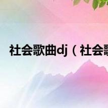 社会歌曲dj（社会歌）