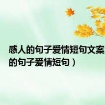 感人的句子爱情短句文案(感人的句子爱情短句)