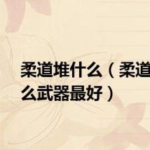 柔道堆什么（柔道带什么武器最好）