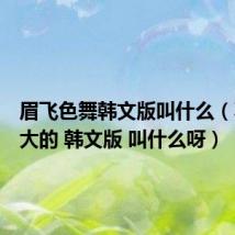 眉飞色舞韩文版叫什么(不想长大的 韩文版 叫什么呀)