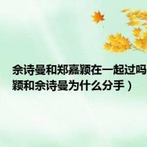 佘诗曼和郑嘉颖在一起过吗(郑嘉颖和佘诗曼为什么分手)