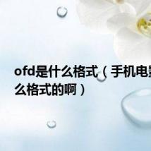 ofd是什么格式（手机电影是什么格式的啊）