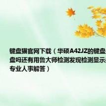键盘猫官网下载(华硕A42JZ的键盘是分岛式键盘吗还有用鲁大师检测发现检测显示是K42JZ请专业人事解答)