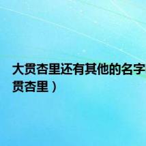 大贯杏里还有其他的名字吗(大贯杏里)